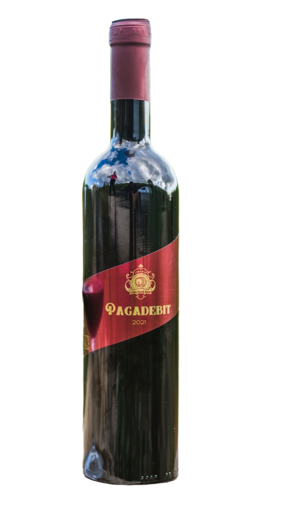 Pagadebit